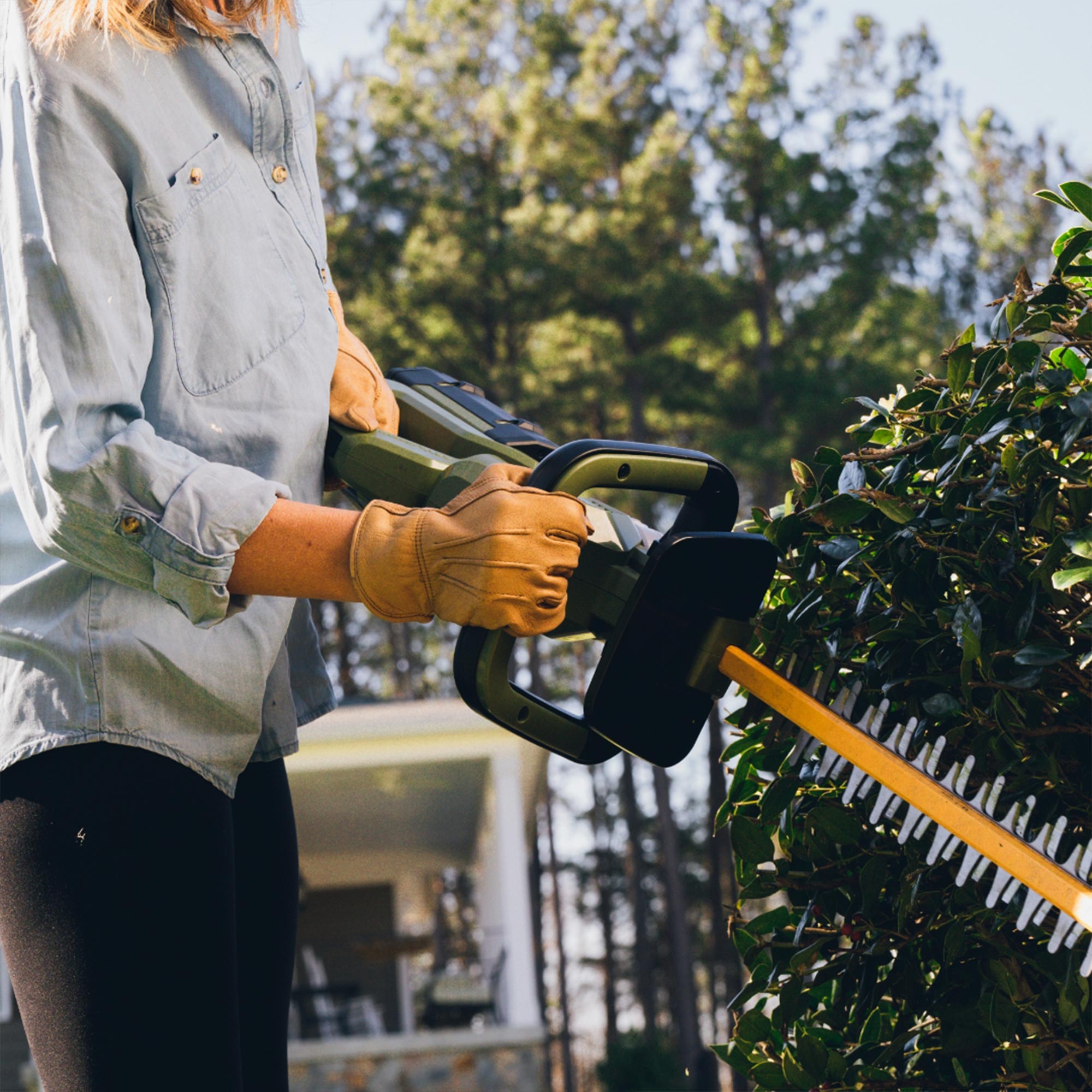 62V Cordless  25&quot; Hedge Trimmer with 2.5 Ah Battery and Rapid Charger