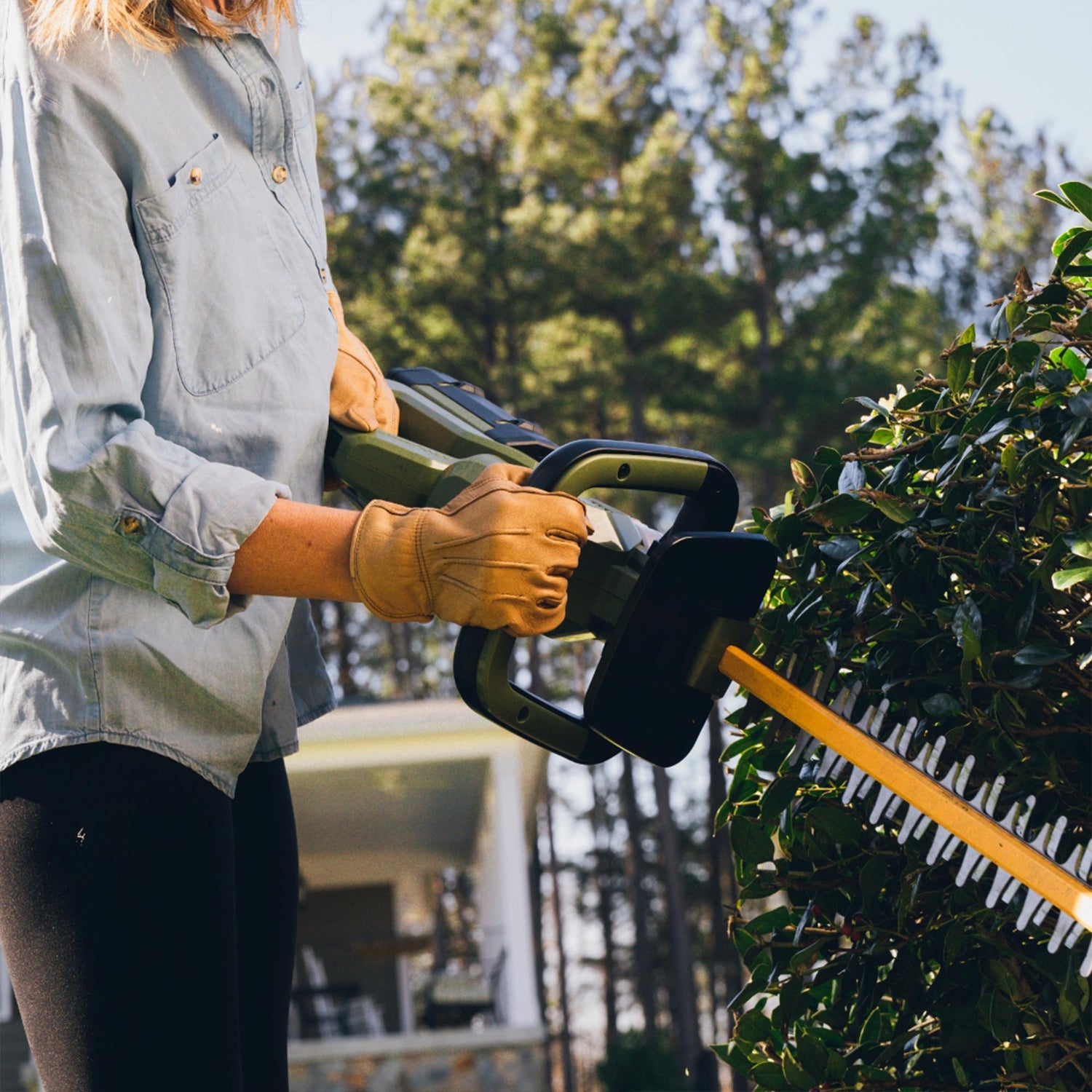 62V Cordless  25&quot; Hedge Trimmer with 2.5 Ah Battery and Rapid Charger